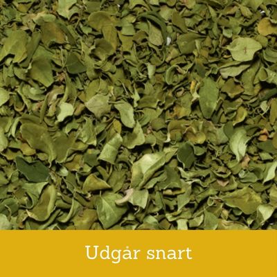 Moringa