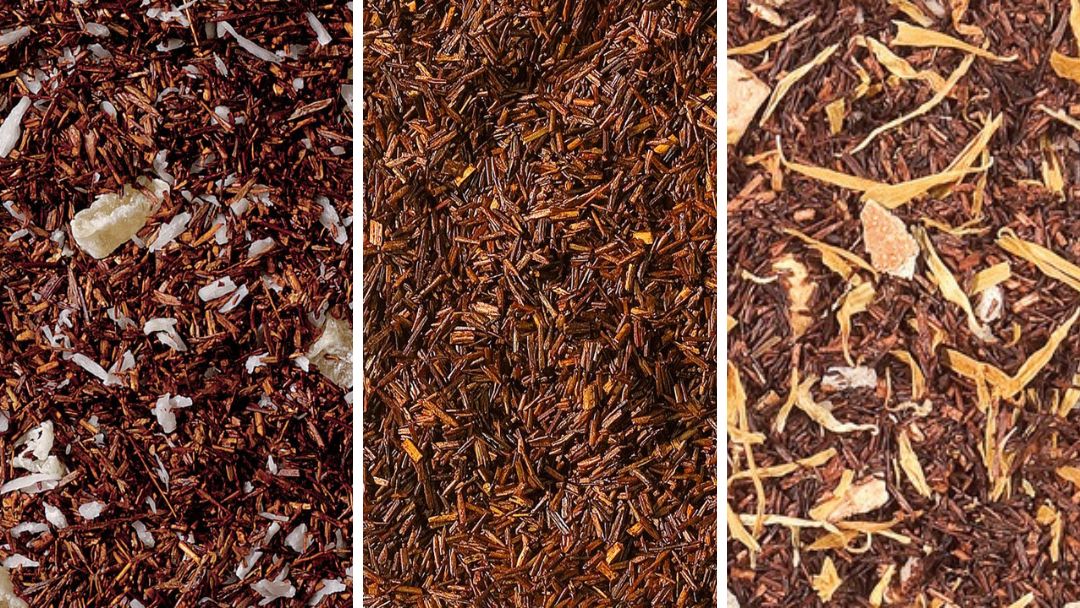 Rooibos