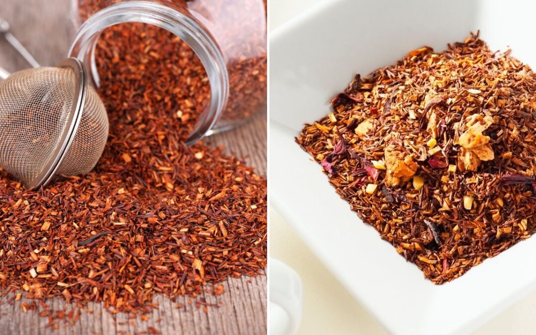 Rooibos kaldes for den magiske te