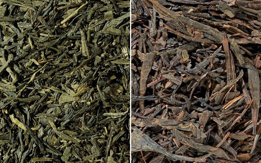 Oplev magien af Sencha te