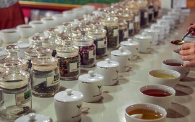 Tea Tasting – kunsten at udvælge god te
